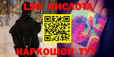 таблы Новозыбков