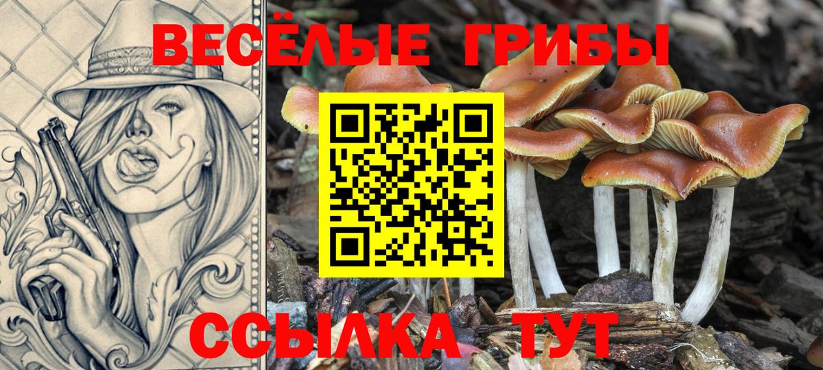 Строитель  Псилоцибиновые грибы прущие грибы  Вход с VPN 