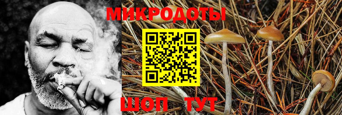 Псилоцибиновые грибы прущие грибы Строитель